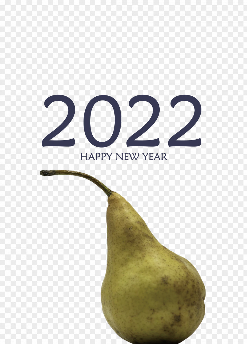 2022 Happy New Year PNG