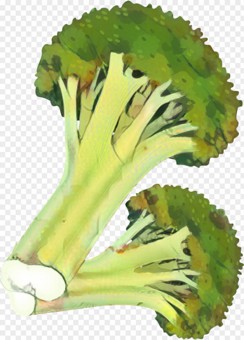 Cabbage Flower Vegetables Cartoon PNG