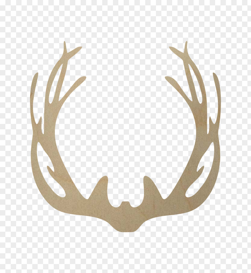 Deer White-tailed Antler Elk Horn PNG