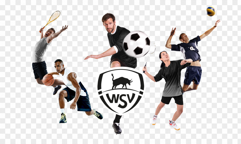 Dynamic Picture WSV Sport Dynamictennis Apeldoorn Ball Game PNG