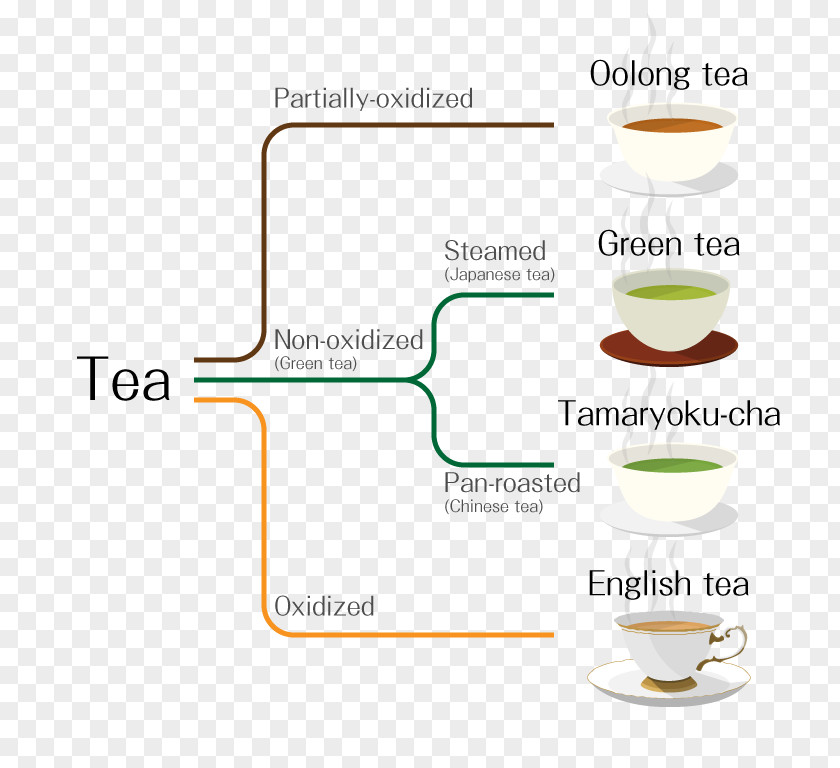 Japanese Tea Cuisine Green Gyokuro Oolong PNG