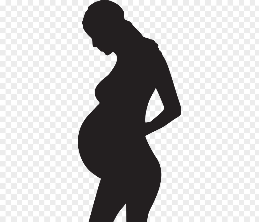 Pregnancy Mother Infant PNG