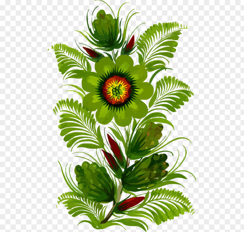 Vascular Plant Leaf Watercolor Floral Background PNG