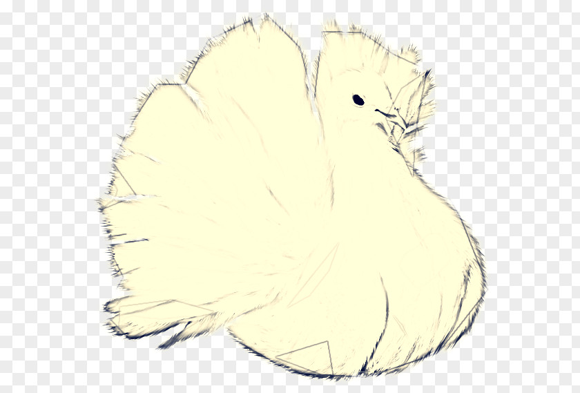 Bird Drawing Line PNG