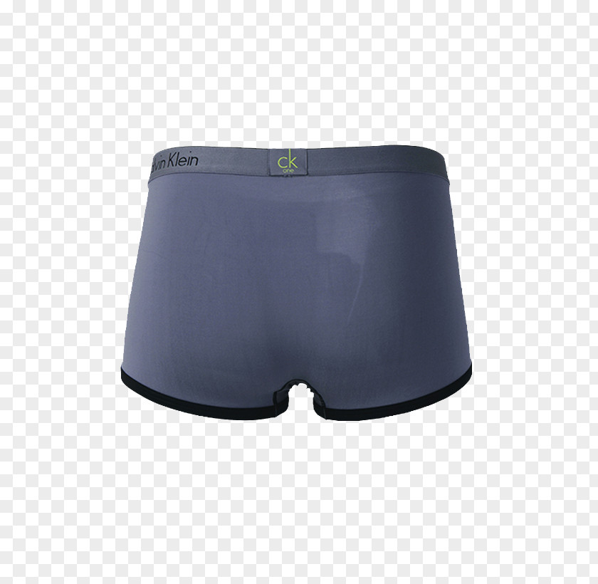 Calvin Klein Blue Belt Boxer Underwear The Back Trunks Underpants Briefs PNG