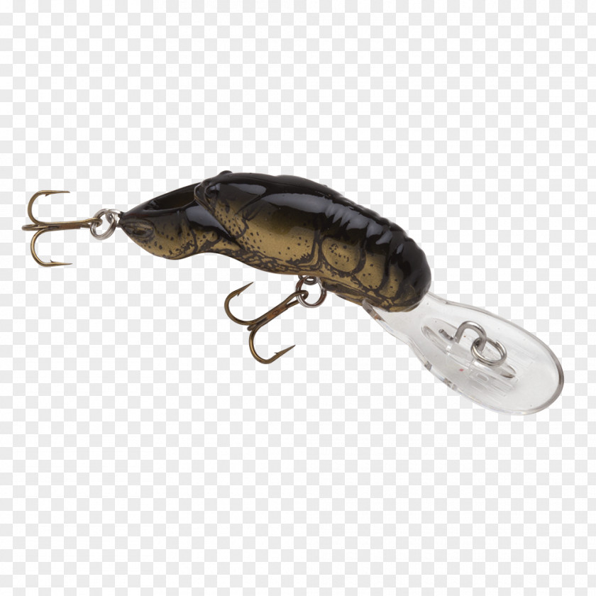 Insect Spoon Lure Product Design PNG