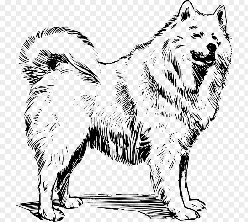 Sheep Breeders Samoyed Dog Akita Greenland Canadian Eskimo Alaskan Malamute PNG