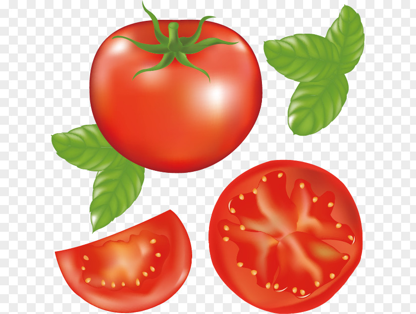 Tomato Juice Hamburger Clip Art PNG