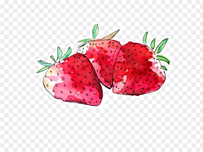 Watercolor Apple Painting Techniques Watercolour Drawing Fruit PNG