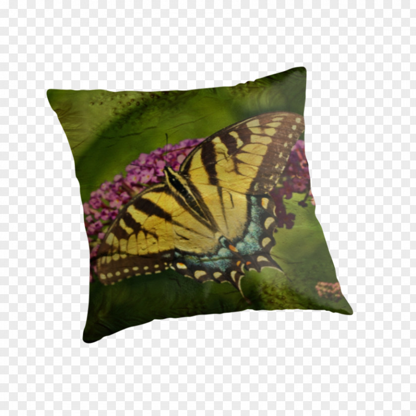 Butterfly Monarch Throw Pillows Cushion PNG