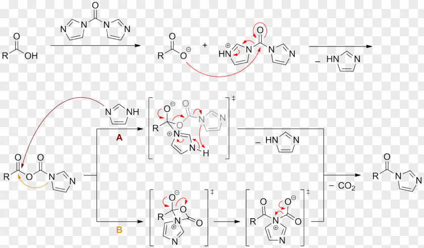 Carbonyldiimidazole Chemical Reaction Coupling Peptide Synthesis PNG