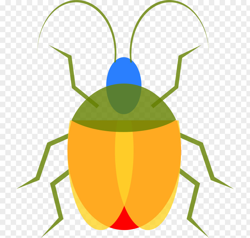 Carpenter Images Insect Free Content Clip Art PNG