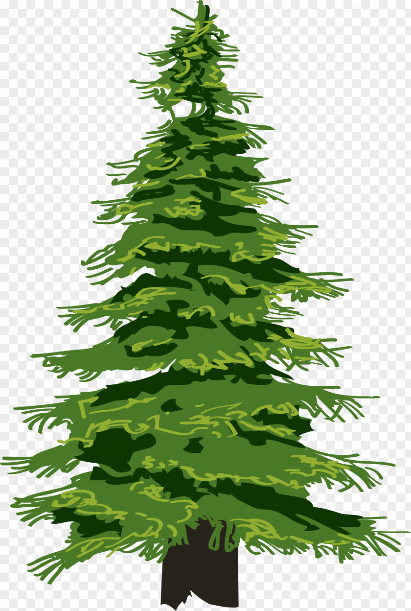 Christmas Tree Pine Evergreen Clip Art PNG