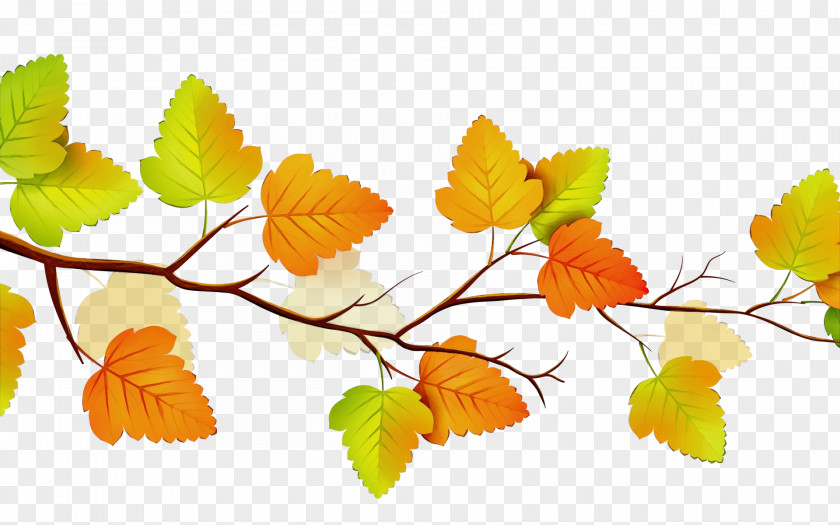 Plant Stem Deciduous Autumn Tree Silhouette PNG