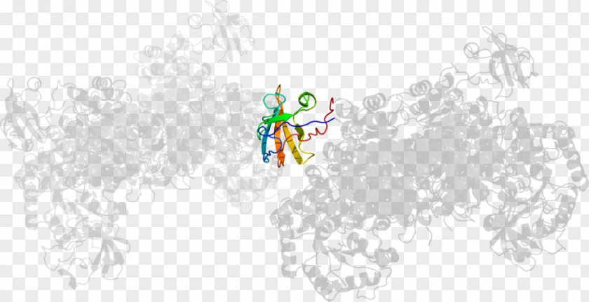 Pyruvate Kinase Cartoon Graphic Design Line Art PNG