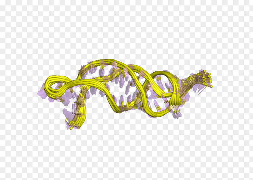 Telomerase RNA Component Non-coding Telomere PNG