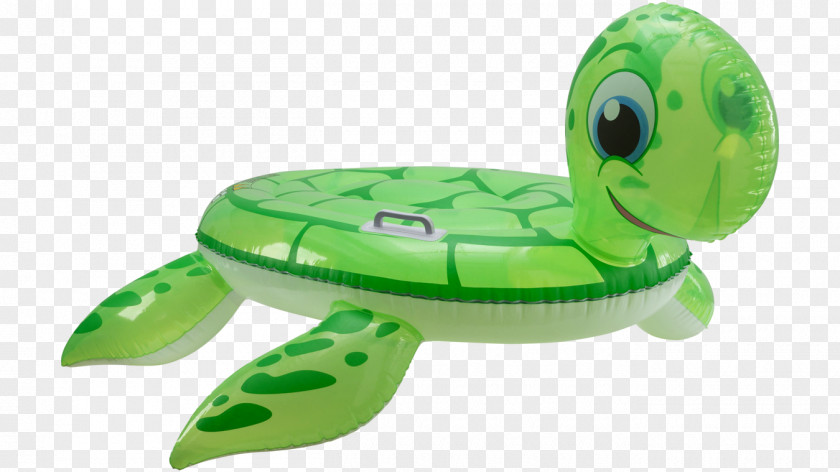 Turtle Sea Idealo Green Ultraviolet PNG