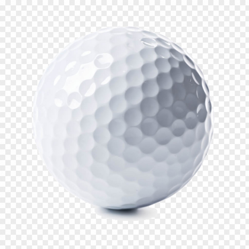 White Golf Ball Retriever Equipment PNG