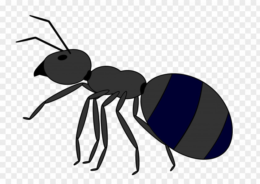 Cartoon UNIVERSE Ant Desktop Wallpaper Clip Art PNG