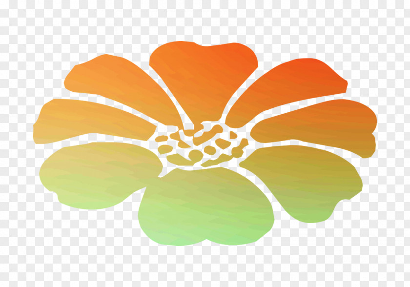 Flowering Plant Orange S.A. Plants PNG