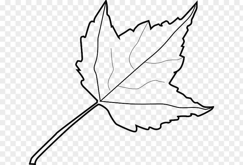 Leaf Clip Art Openclipart Autumn Color PNG