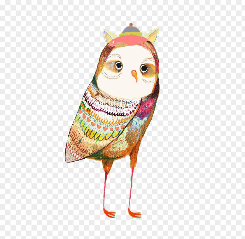 Owl Illustrator Work Of Art Illustration PNG