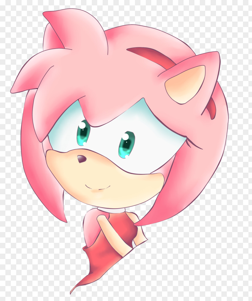 Sonic The Hedgehog Amy Rose Shadow PNG