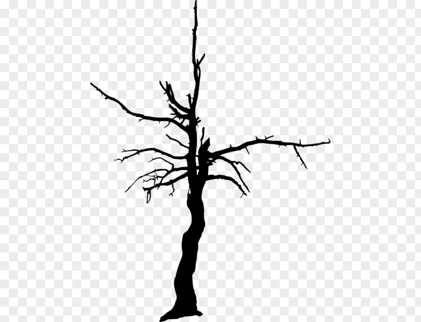 Tree Twig Clip Art PNG