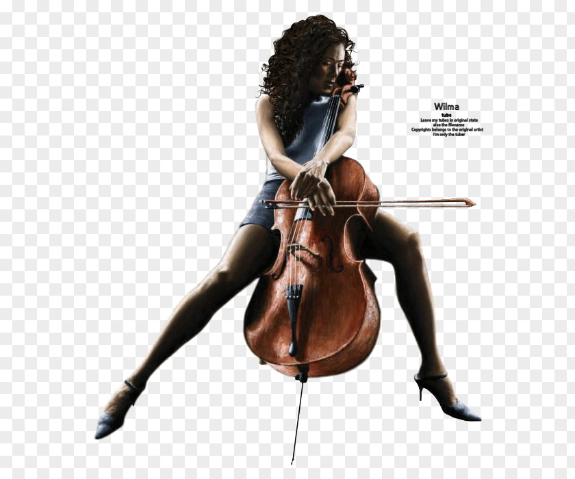 Violin Violone Cello Viola Microphone PNG