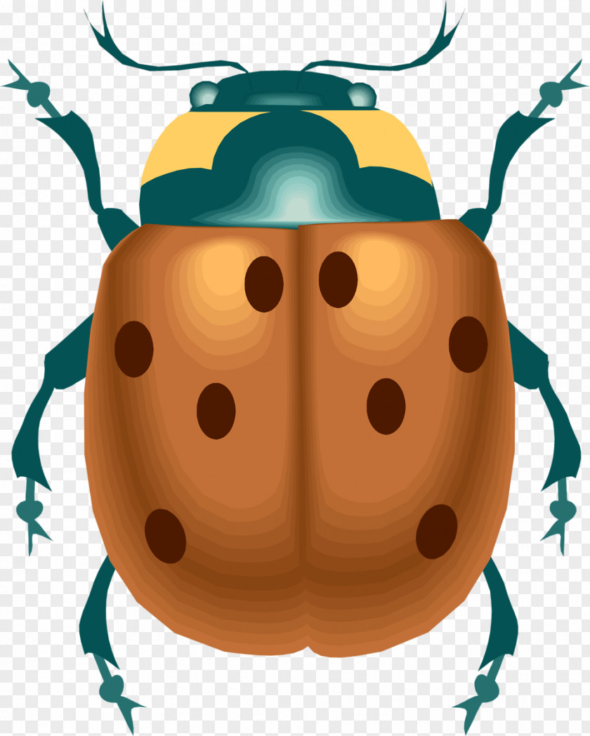 Beetle ECOPEST ENVIRONMENTAL CONSULTANCY Ladybird Pest Control Clip Art PNG