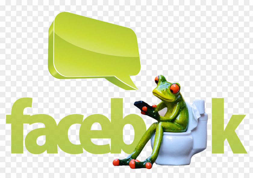 Cartoon Frog Pixabay Stock.xchng Photography PNG