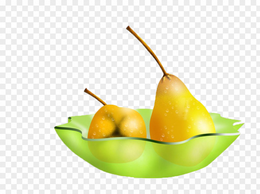 Cartoon Tray Of Pears Picture Material Pyrus Nivalis Fruit Salad Asian Pear Auglis PNG