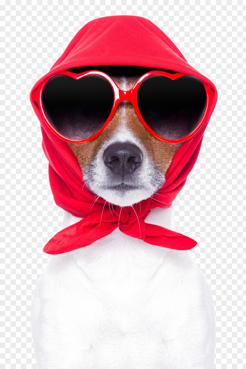 Dog Wearing A Red Scarf PNG wearing a red scarf clipart PNG