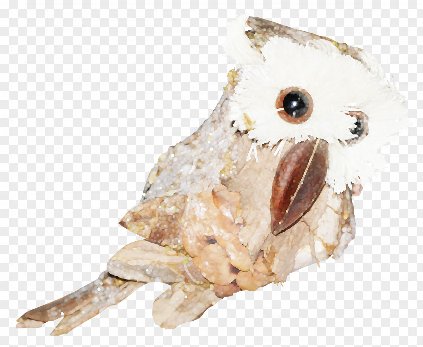 Owl Icon PNG