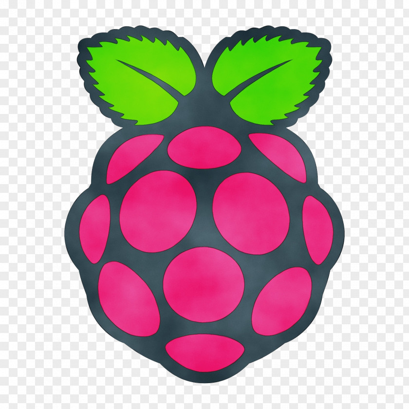 Plant Magenta Pineapple PNG