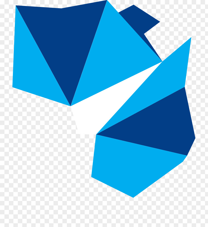 Scitek Australia Pty Ltd Training Connections Logo Triangle PNG