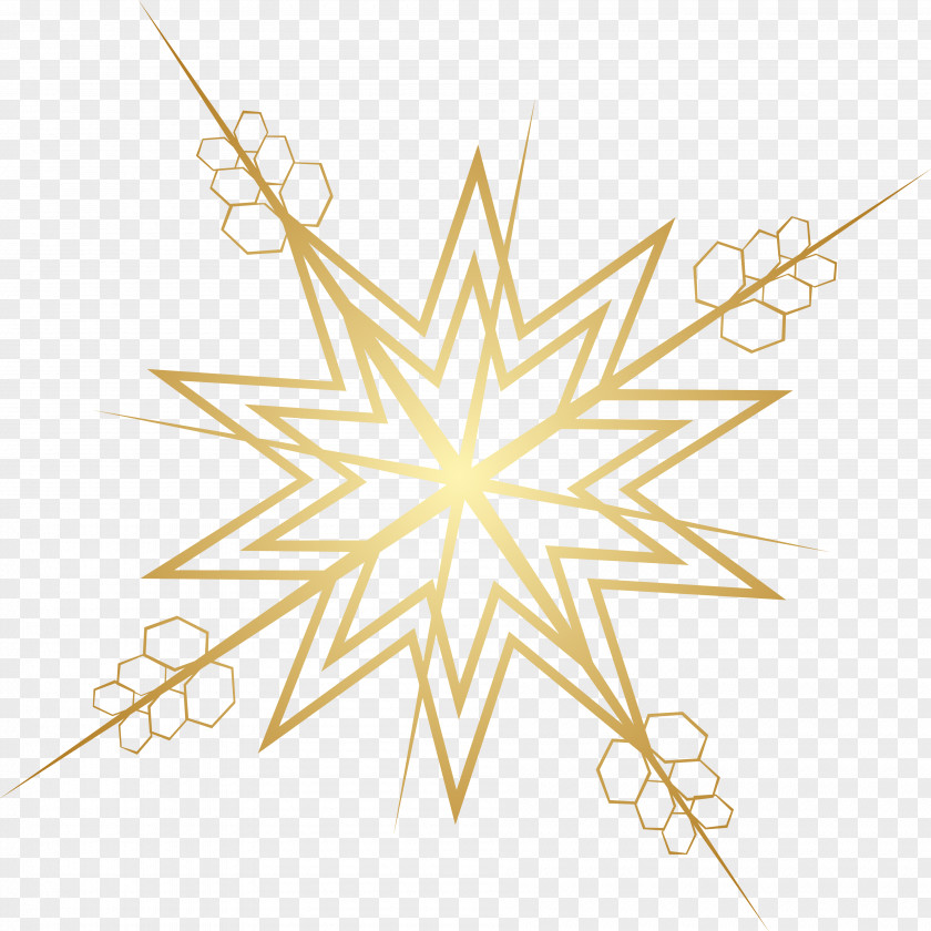 Snowflake Pentagram Pentacle Classical Element Symbol Wicca PNG