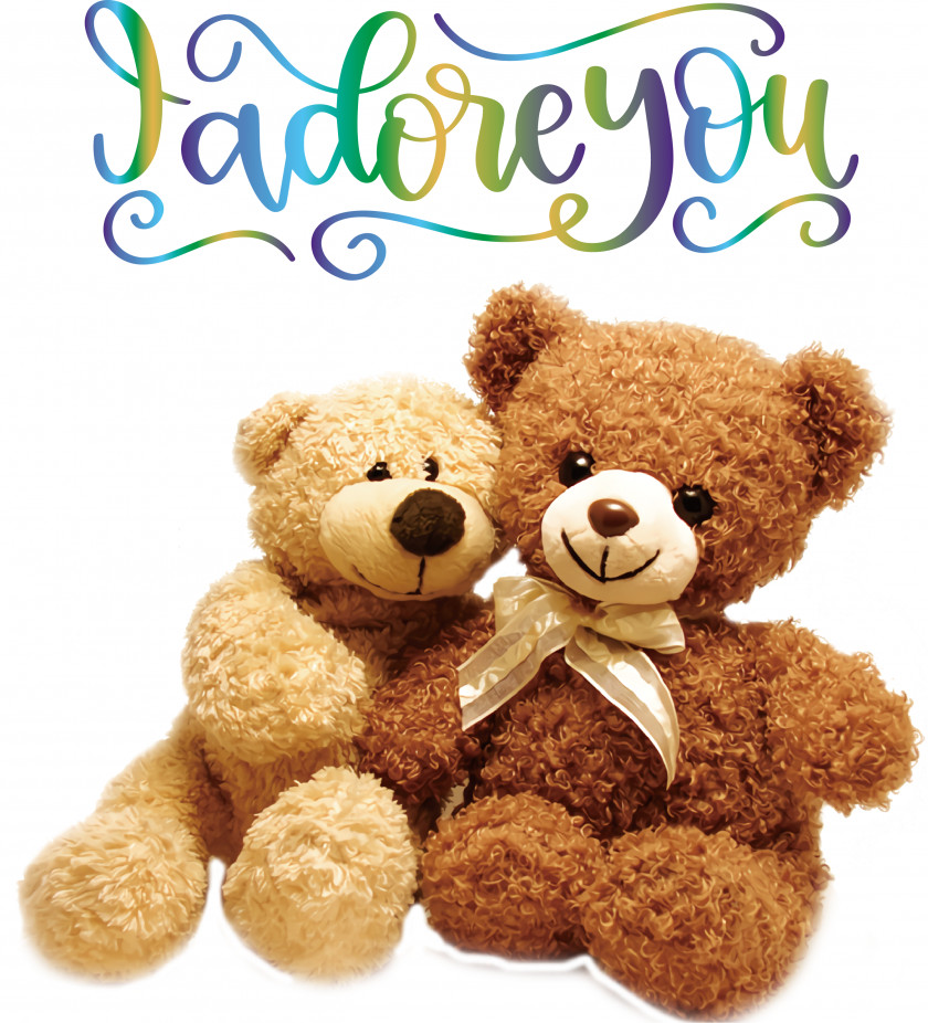 Teddy Bear PNG