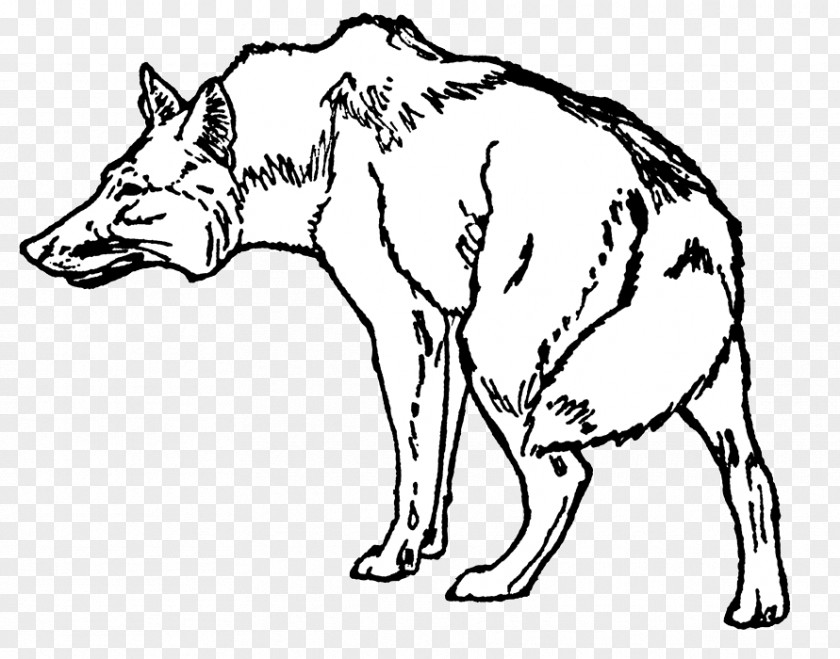 THE JUNGLE BOOK Red Fox The Jungle Book Mowgli Clip Art Animal PNG