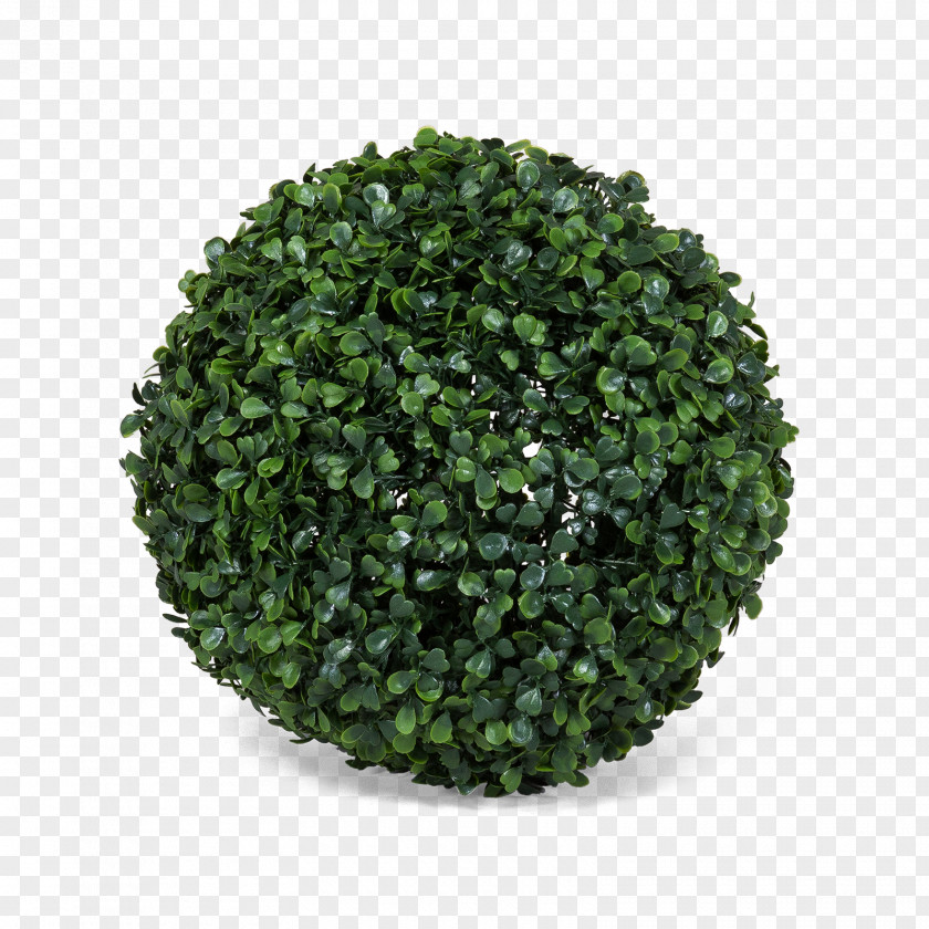 Trifolium EPDM Rubber Natural Common Ivy Synthetic Hedge PNG