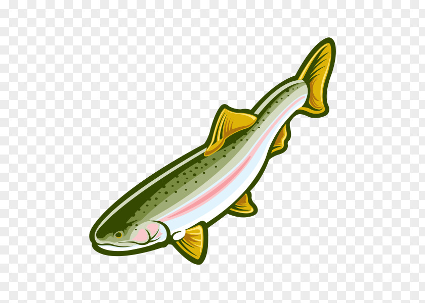 Fish Salmon Rainbow Trout PNG