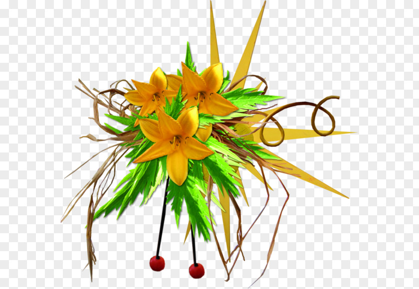 Flower Explosion Floral Design Clip Art PNG