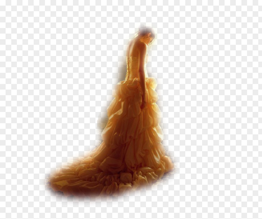 Fur Tail PNG