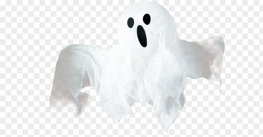 Ghost White Clip Art PNG
