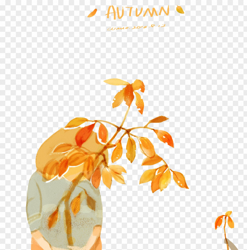 Autumn Leaves Leaf PNG