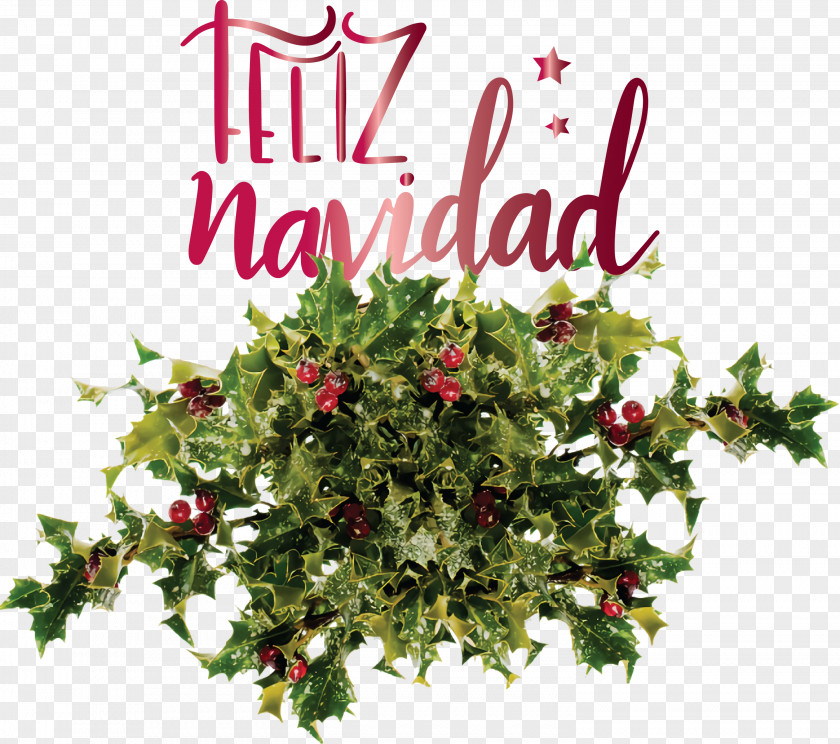 Feliz Navidad Merry Christmas PNG