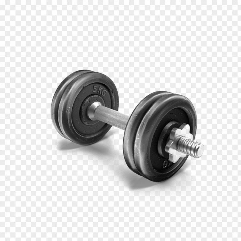 Five Kilograms Dumbbell Weight Training PNG