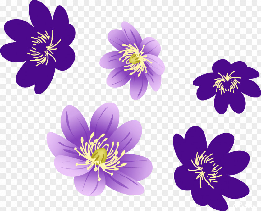Flower Video Image Desktop Wallpaper PNG