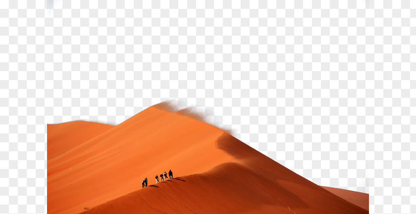 Yellow Desert Sand Erg Camel PNG