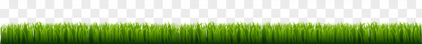 Hand Painted Green Grass Angle PNG